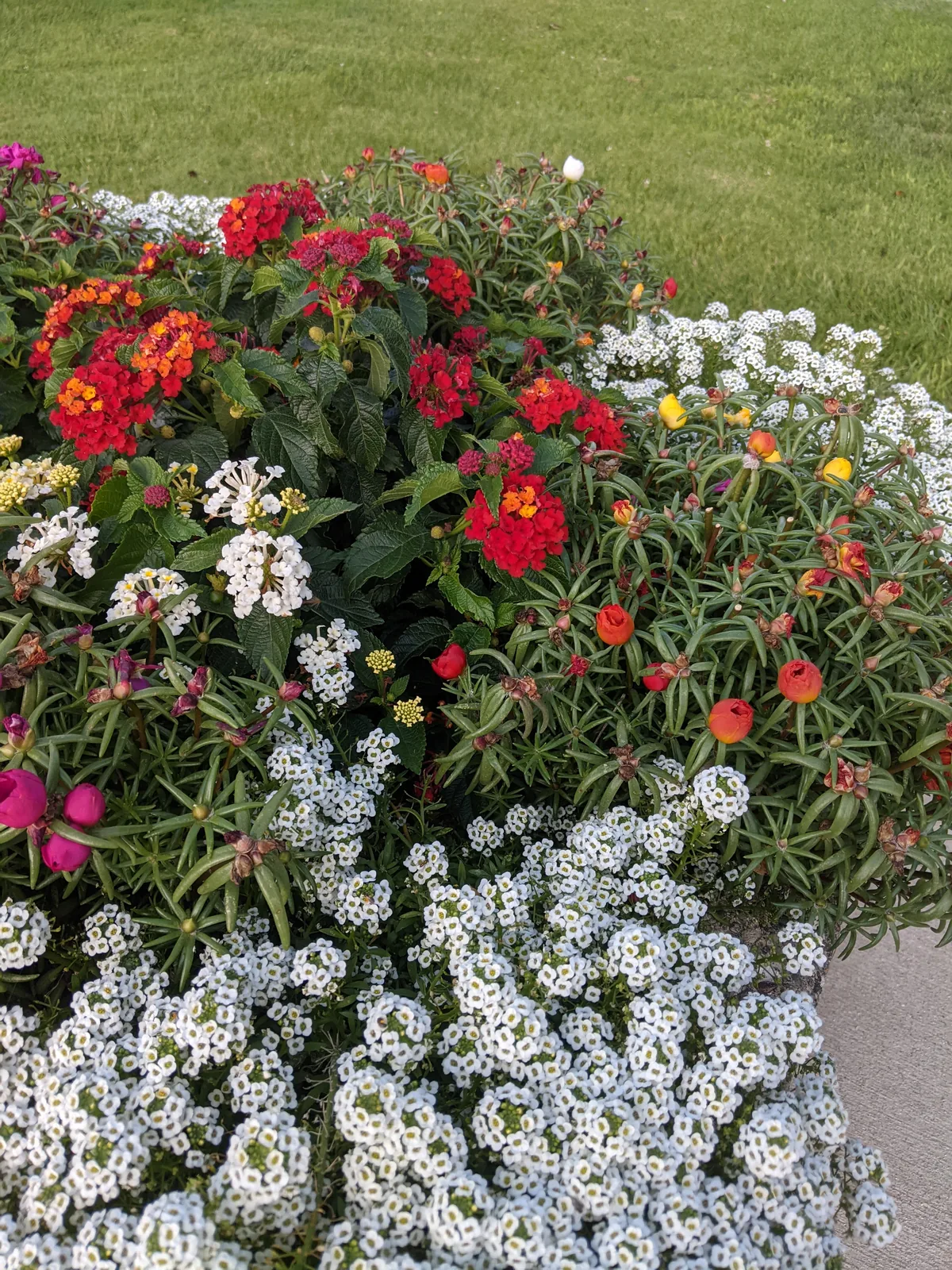 A flower bed planted by the Flower Program