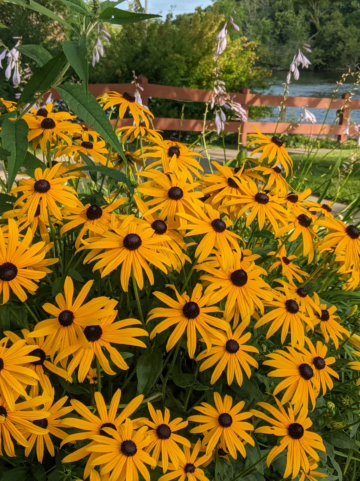 Flower planters in downtown Plainwell